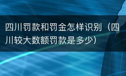 四川罚款和罚金怎样识别（四川较大数额罚款是多少）
