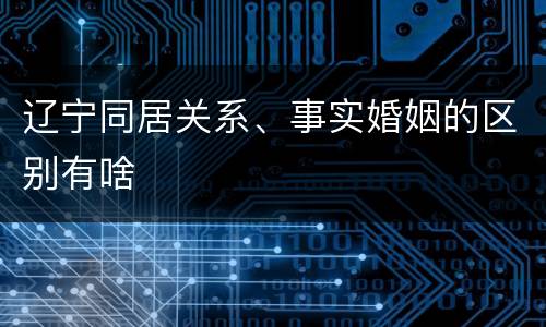辽宁同居关系、事实婚姻的区别有啥