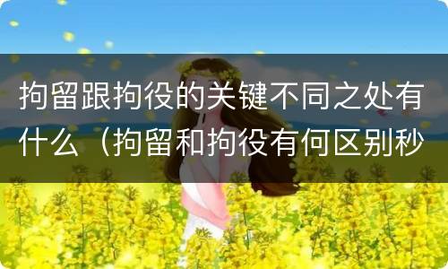 拘留跟拘役的关键不同之处有什么（拘留和拘役有何区别秒懂百科）