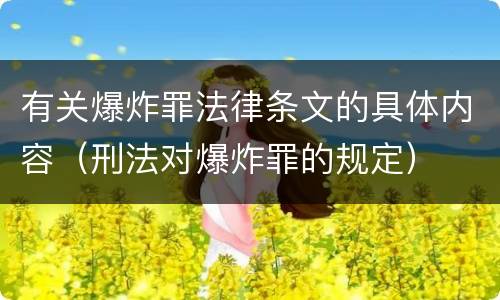 有关爆炸罪法律条文的具体内容（刑法对爆炸罪的规定）