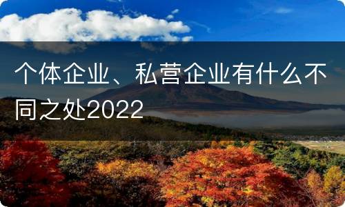 个体企业、私营企业有什么不同之处2022