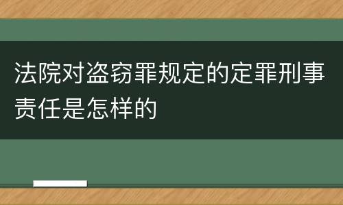 法院对盗窃罪规定的定罪刑事责任是怎样的