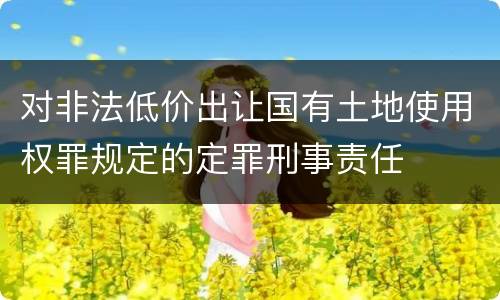 对非法低价出让国有土地使用权罪规定的定罪刑事责任