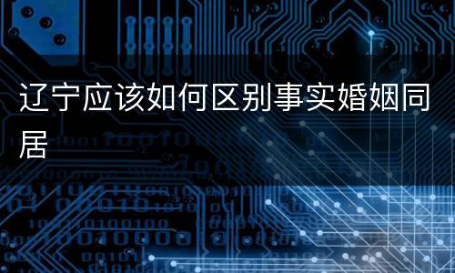 辽宁应该如何区别事实婚姻同居