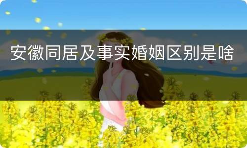 安徽同居及事实婚姻区别是啥