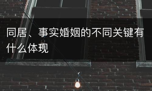 同居、事实婚姻的不同关键有什么体现
