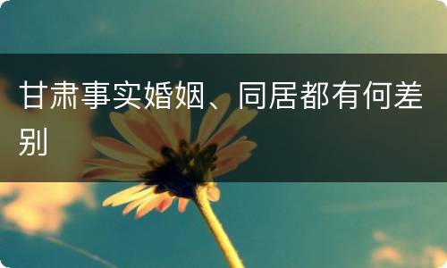 甘肃事实婚姻、同居都有何差别