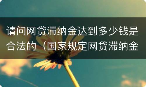 请问网贷滞纳金达到多少钱是合法的（国家规定网贷滞纳金标准）