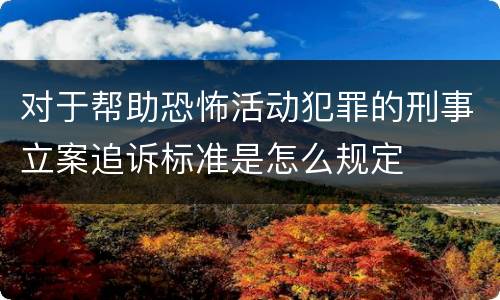 对于帮助恐怖活动犯罪的刑事立案追诉标准是怎么规定