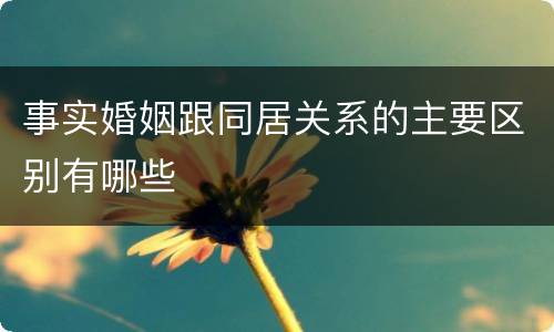 事实婚姻跟同居关系的主要区别有哪些