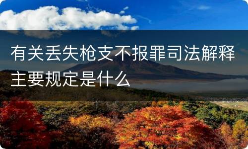 有关丢失枪支不报罪司法解释主要规定是什么