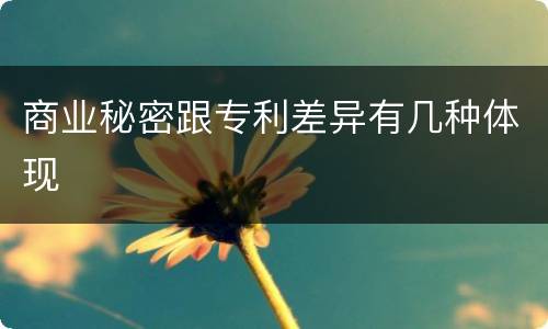 商业秘密跟专利差异有几种体现