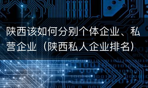 陕西该如何分别个体企业、私营企业（陕西私人企业排名）