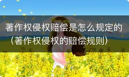 著作权侵权赔偿是怎么规定的（著作权侵权的赔偿规则）