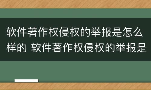 软件著作权侵权的举报是怎么样的 软件著作权侵权的举报是怎么样的呢