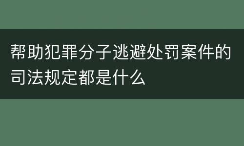 帮助犯罪分子逃避处罚案件的司法规定都是什么