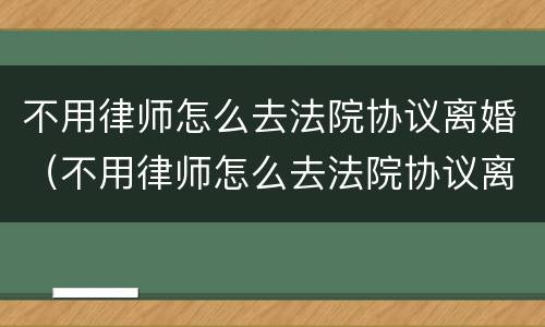 不用律师怎么去法院协议离婚（不用律师怎么去法院协议离婚呢）