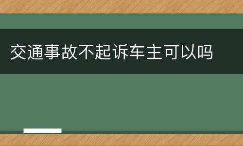 交通事故不起诉车主可以吗