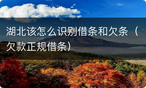湖北该怎么识别借条和欠条（欠款正规借条）