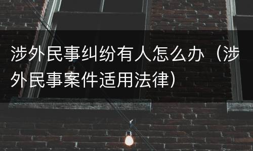 涉外民事纠纷有人怎么办（涉外民事案件适用法律）
