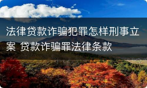 法律贷款诈骗犯罪怎样刑事立案 贷款诈骗罪法律条款