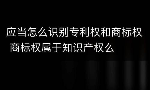 应当怎么识别专利权和商标权 商标权属于知识产权么
