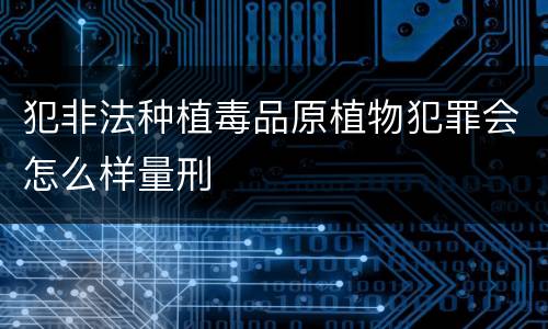 犯非法种植毒品原植物犯罪会怎么样量刑