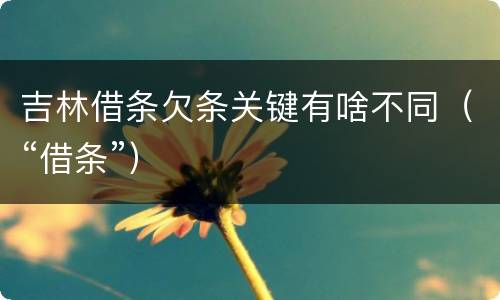 吉林借条欠条关键有啥不同（“借条”）