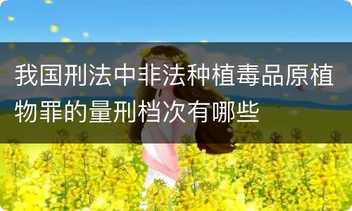 我国刑法中非法种植毒品原植物罪的量刑档次有哪些