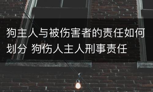 狗主人与被伤害者的责任如何划分 狗伤人主人刑事责任