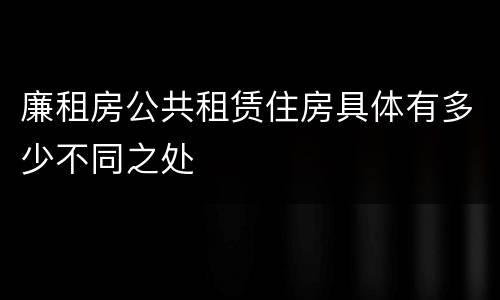 廉租房公共租赁住房具体有多少不同之处