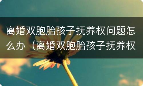 离婚双胞胎孩子抚养权问题怎么办（离婚双胞胎孩子抚养权怎么算）