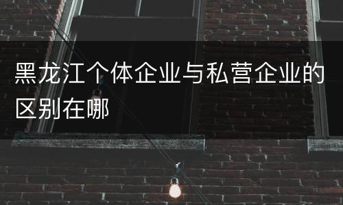 黑龙江个体企业与私营企业的区别在哪
