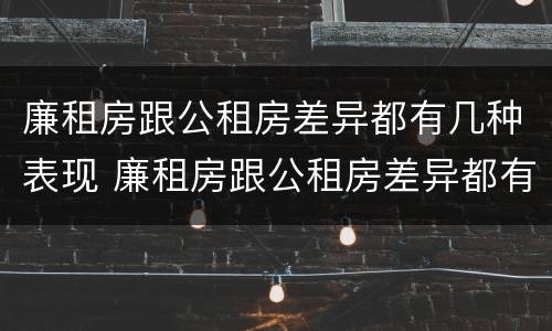 廉租房跟公租房差异都有几种表现 廉租房跟公租房差异都有几种表现呢