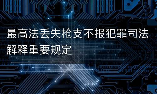 最高法丢失枪支不报犯罪司法解释重要规定