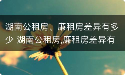 湖南公租房、廉租房差异有多少 湖南公租房,廉租房差异有多少