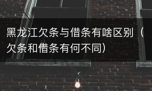 黑龙江欠条与借条有啥区别（欠条和借条有何不同）