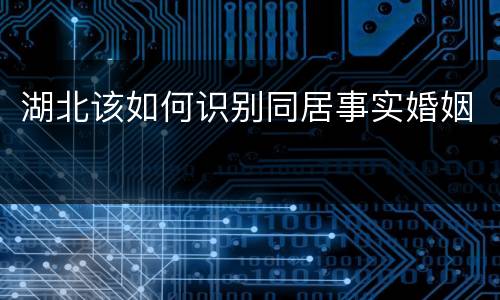 湖北该如何识别同居事实婚姻