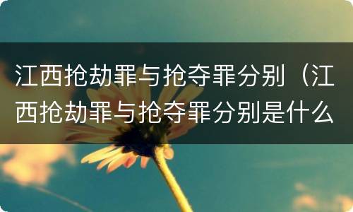 江西抢劫罪与抢夺罪分别（江西抢劫罪与抢夺罪分别是什么）