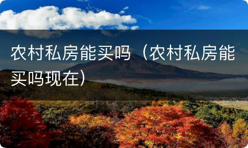 农村私房能买吗（农村私房能买吗现在）