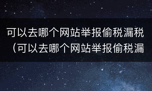 可以去哪个网站举报偷税漏税（可以去哪个网站举报偷税漏税的）