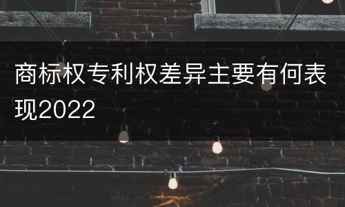 商标权专利权差异主要有何表现2022