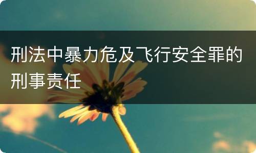 刑法中暴力危及飞行安全罪的刑事责任