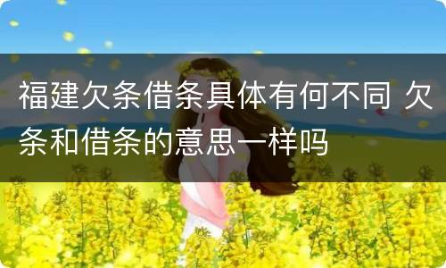 福建欠条借条具体有何不同 欠条和借条的意思一样吗