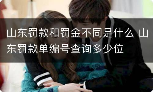山东罚款和罚金不同是什么 山东罚款单编号查询多少位