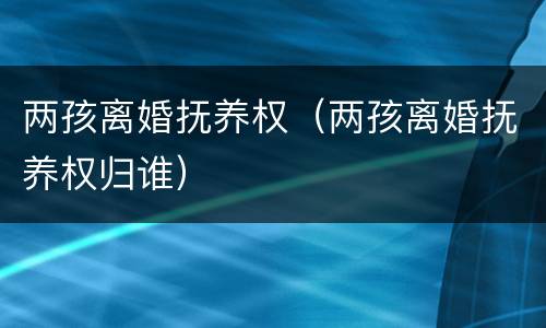 两孩离婚抚养权（两孩离婚抚养权归谁）