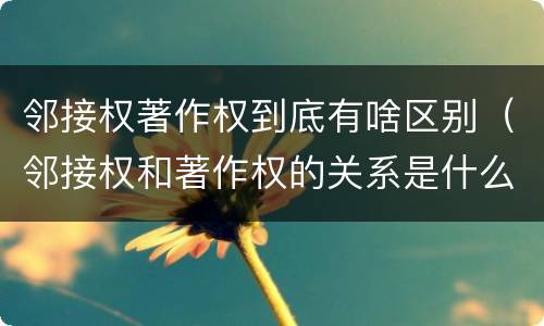 邻接权著作权到底有啥区别（邻接权和著作权的关系是什么）