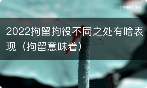 2022拘留拘役不同之处有啥表现（拘留意味着）