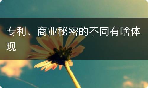 专利、商业秘密的不同有啥体现