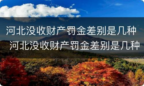 河北没收财产罚金差别是几种 河北没收财产罚金差别是几种处罚